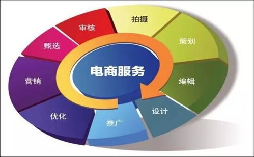 电子商务专业化的意思